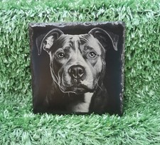 Slate Coaster Staffordshire