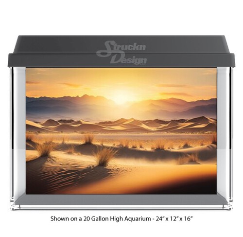Bright desert landscape - bright,