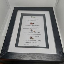 Trad' Trout Dry Fly Picture. Set of 4 in a black wood 1" deep box frame.