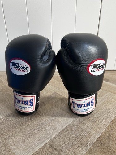 Twins muay thai boxing - twins,