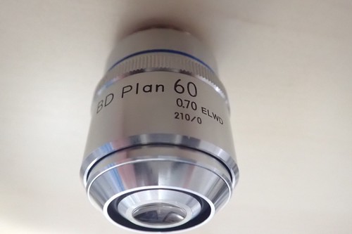 Nikon plan 60x 70 - bd,