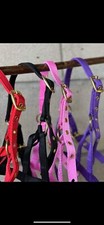 FOAL SIZE NYLON HEADCOLLAR