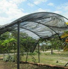 Cerbior 30% UV Sunblock Shade