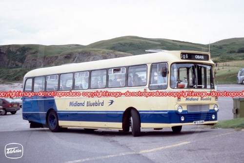 Bus photo midland bluebird - bus,