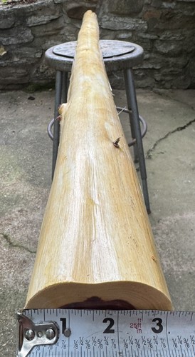 Eastern red cedar - 75”,