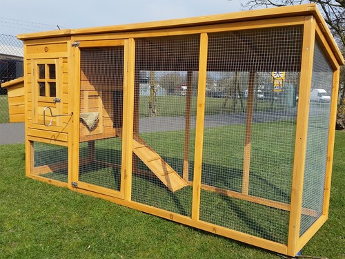 Large chicken hen house coop - chicken,