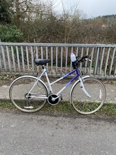 Raleigh Pioneer Classic Bicycle 