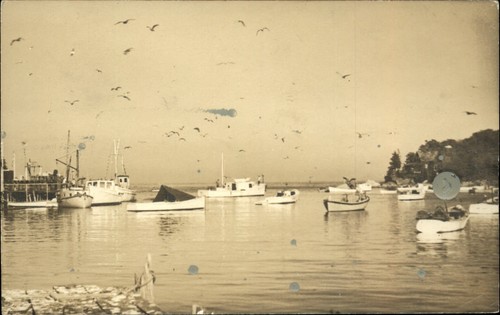 Rppc harbor fishing and row - fishing,