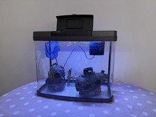 Love Fish Panorama 40 Aquarium 40L with LED Lights, Filter, Ornaments & Extras. 