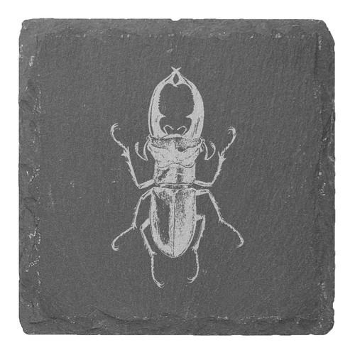 Stag beetle slate - beetle',