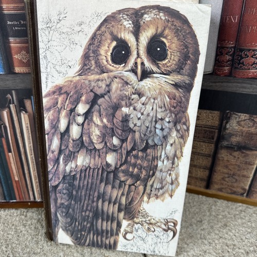 Book british birds - british,