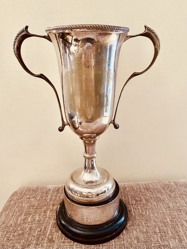Big large silver trophy - big,