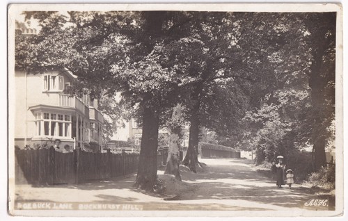 Roebuck lane buckhurst - lane,