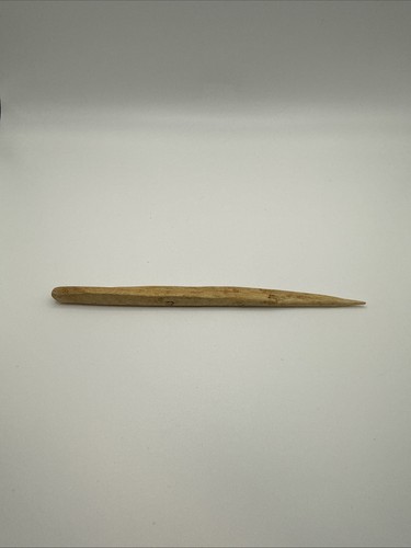 Ancient bone - ancient,