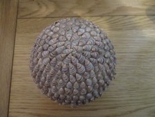 Shell Ball