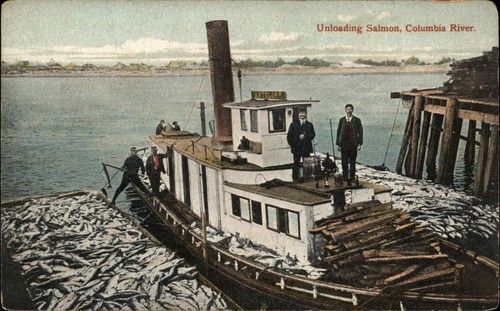Columbia river commercial - columbia,