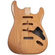 Stratocaster Compatible Guitar
