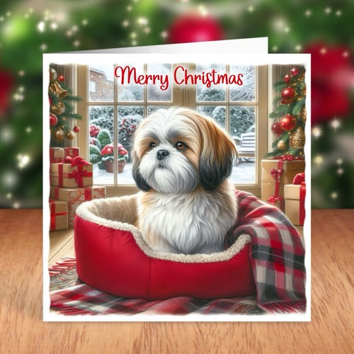Shih tzu dog - dog, christmas