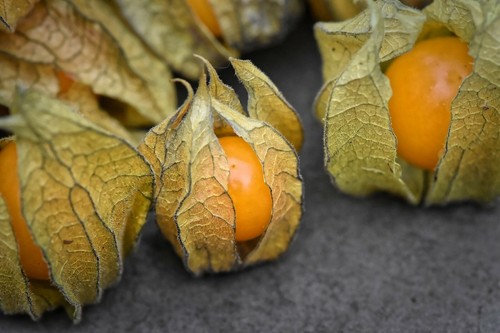 Cape gooseberry seeds - cape,