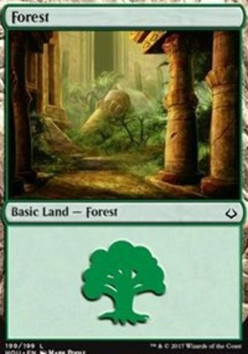 Forest hour of - hour,
