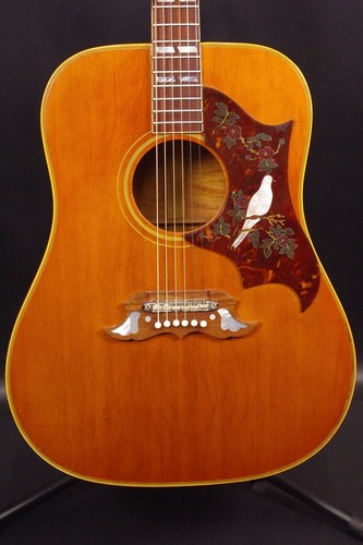 Gibson dove new - gibson,