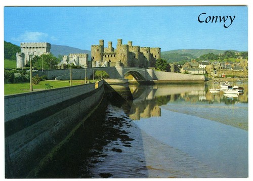 1980s salmon postcard conwy - 1980s,