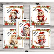 Cute Cats Multipack of 5