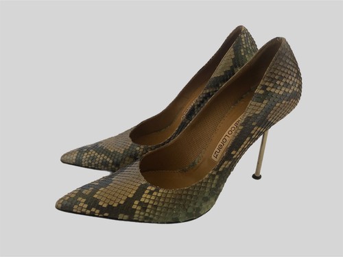 Gianmarco lorenzi reptile - lorenzi,