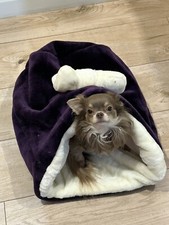 Luxury snuggle sack chihuahua - luxury,