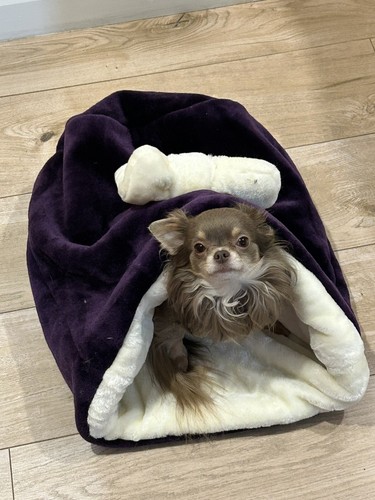 Luxury snuggle sack - snuggle,
