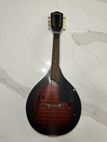 Vtg string harmony mandolin - 8,