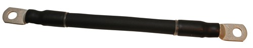 Gearbox earth strap beetle - gearbox,