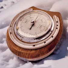 Horse-Shoe Barometer Oak Vtg