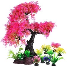  10 Pcs Tall Fish Tank