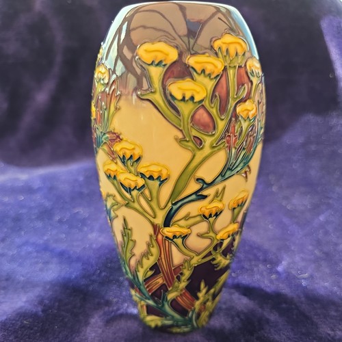 Moorcroft pottery vase - pottery,