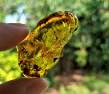 Amber Natural Polished Crystal