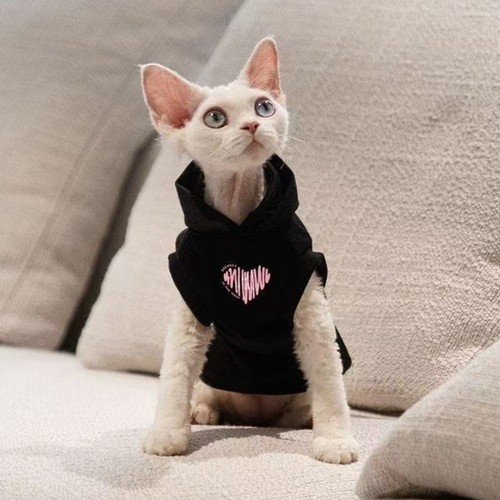 Dog cat pet clothes - cat, kitten