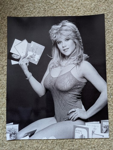 Sam fox photo print - fox, a4
