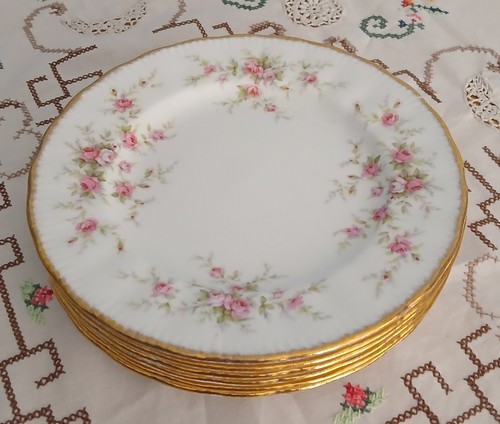 Paragon victoriana rose - 6, 8"