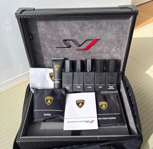Authentic lamborghini - [authentic],