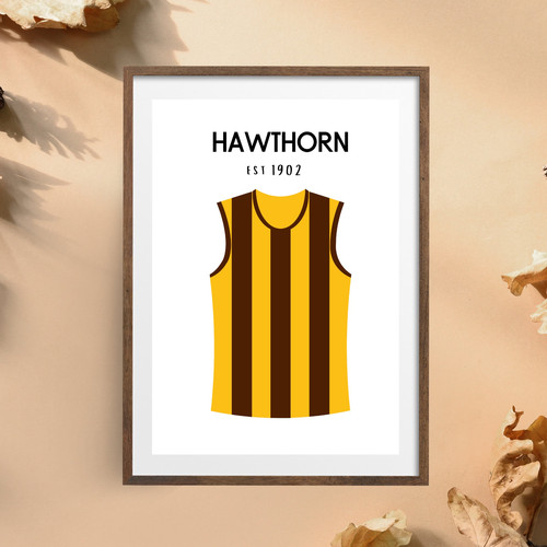 Hawthorn hawks football - football, print