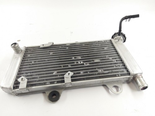 Yamaha 660 dm01 2006 - x,