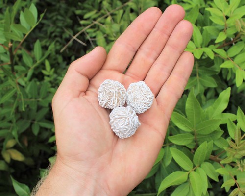 Desert rose selenite - 3,
