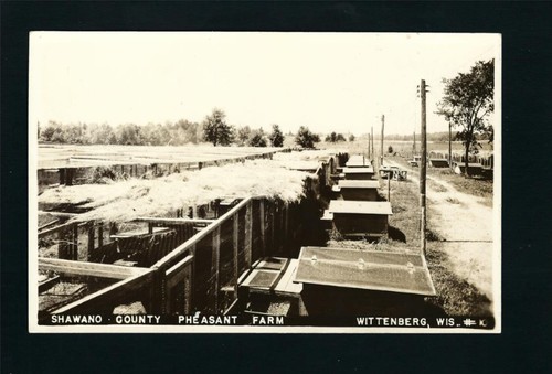 Wittenberg wisconsin 1920s - wittenberg, wi