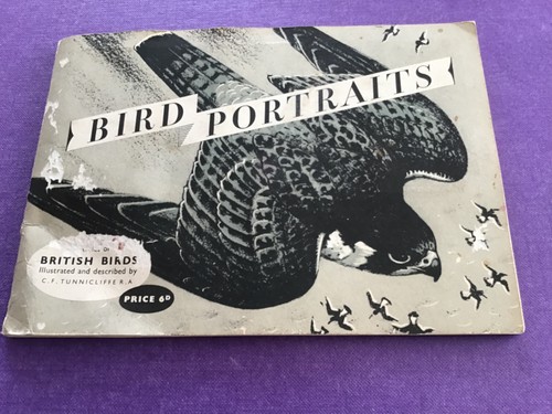 Bird portraits full album - ,