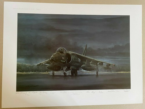 Harrier jump jet aviation - jump, art