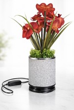 Illuminated Red Orchid