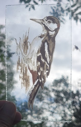 Stained glass great spotted - great,