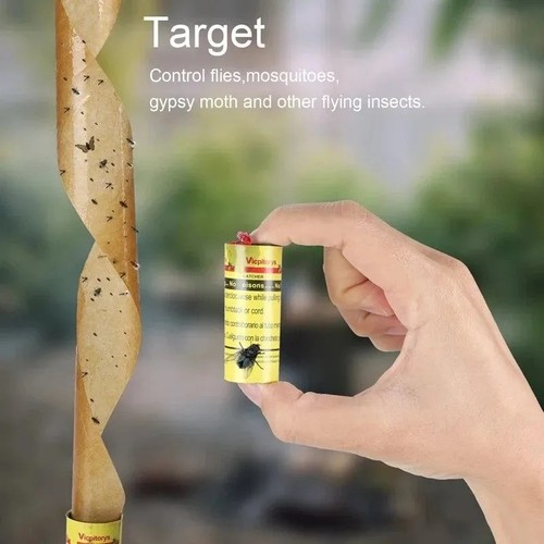 Sticky fly catcher - catcher, paper
