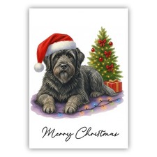 Bouvier des Flandres Christmas